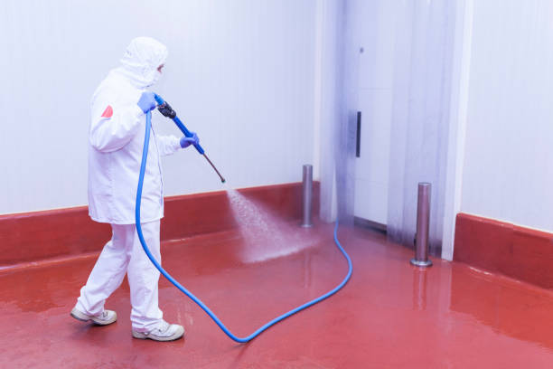 Best Solar Panel Cleaning  in Cullman, AL