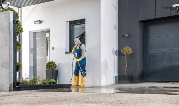 Best Roof Washing  in Cullman, AL
